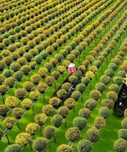 Tour Du lịch miền Nam