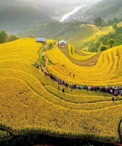 Tour Du lịch miền Bắc