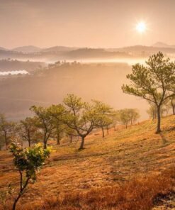 LAAN TREKKING – ULTRA TRAIL 2022