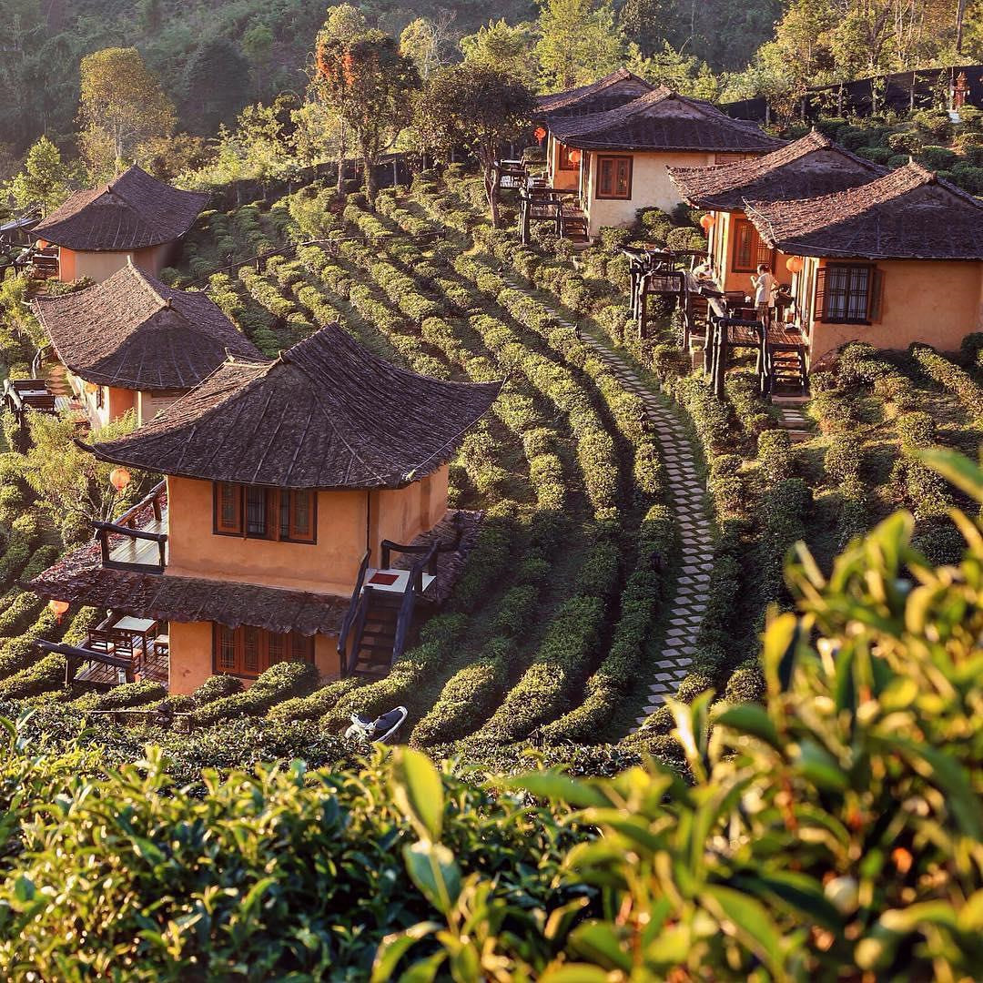 Mae là từ gì trong tiếng Thái?
