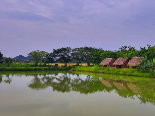 tour-du-lich-nghe-an-ho-cau-dong-lua-du-lich-de-men-vn