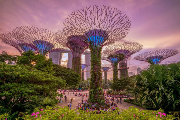 Gardens-by-The-Bay-singapore-du-lich-de-men-vn