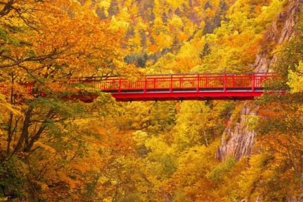 Futami-Suspension-Bridge-Jozankei-Onsen-Hokkaido-mua-la-do-nhat-ban-momiji-koyo-du-lich-de-men-vn