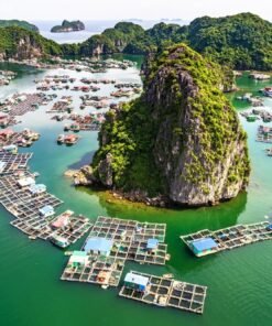 COMBO DU THUYỀN ROSY CRUISE (3N2Đ)