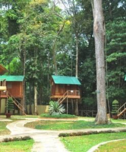 luu-tru-sinh-thai-na-tren-cay-du-lich-de-men-vn