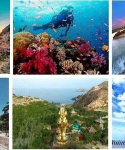 quy-nhon-phu-yen