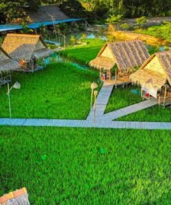 tour-dong-thap-mua-nuoc-noi-mien-tay-song-nuoc-du-lich-de-men-vn-trip-3
