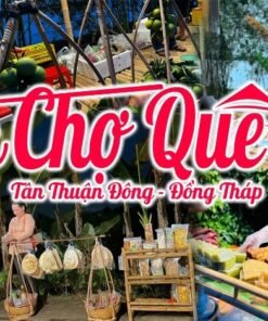 tour-dong-thap-mua-nuoc-noi-mien-tay-song-nuoc-du-lich-de-men-vn-trip-5