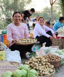 tour-dong-thap-mua-nuoc-noi-mien-tay-song-nuoc-du-lich-de-men-vn-trip-7