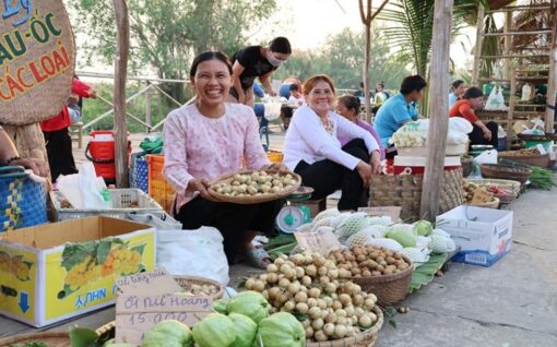 tour-dong-thap-mua-nuoc-noi-mien-tay-song-nuoc-du-lich-de-men-vn-trip-7