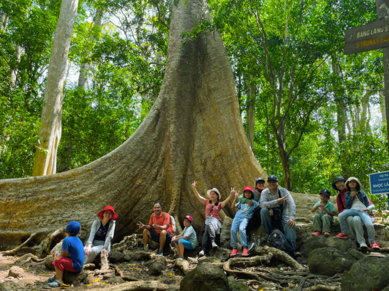 cay-tung-500-nam-tuoi-rung-nam-cat-tien-du-lich-de-men-travel-viet-nam