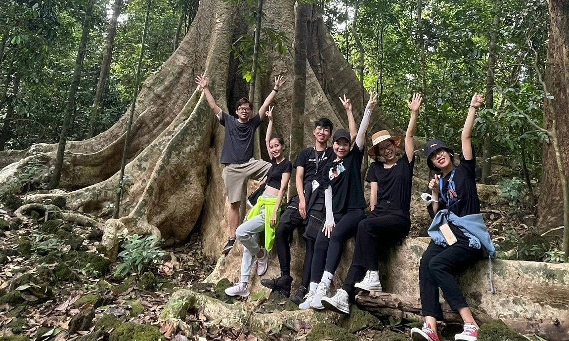 cay-tung-co-thu-500-nam-tuoi-rung-nam-cat-tien-vqg-du-lich-de-men-travel-viet-nam-23