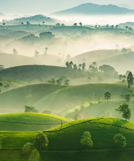 doi-che-thanh-son-du-lich-de-men-travel-viet-nam-tay-bac