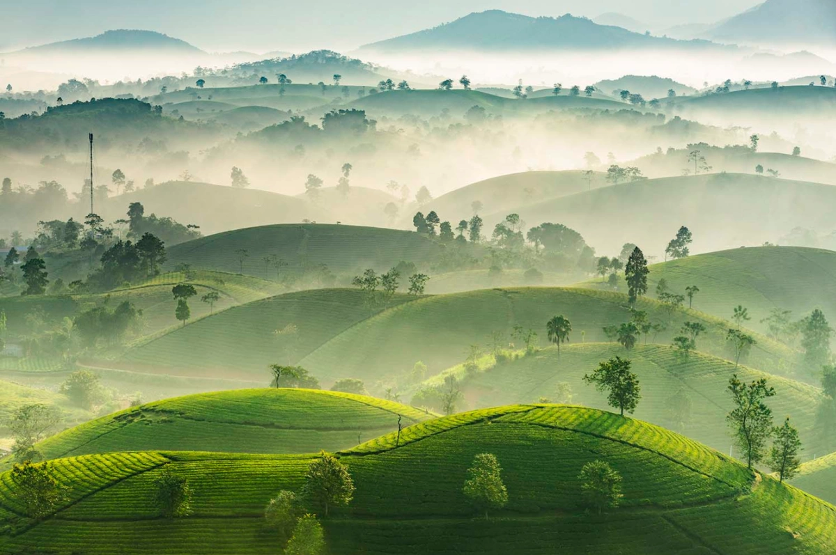 doi-che-thanh-son-du-lich-de-men-travel-viet-nam-tay-bac