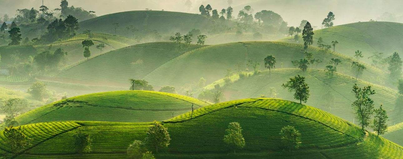 doi-che-thanh-son-phu-tho-du-lich-de-men-travel-viet-nam