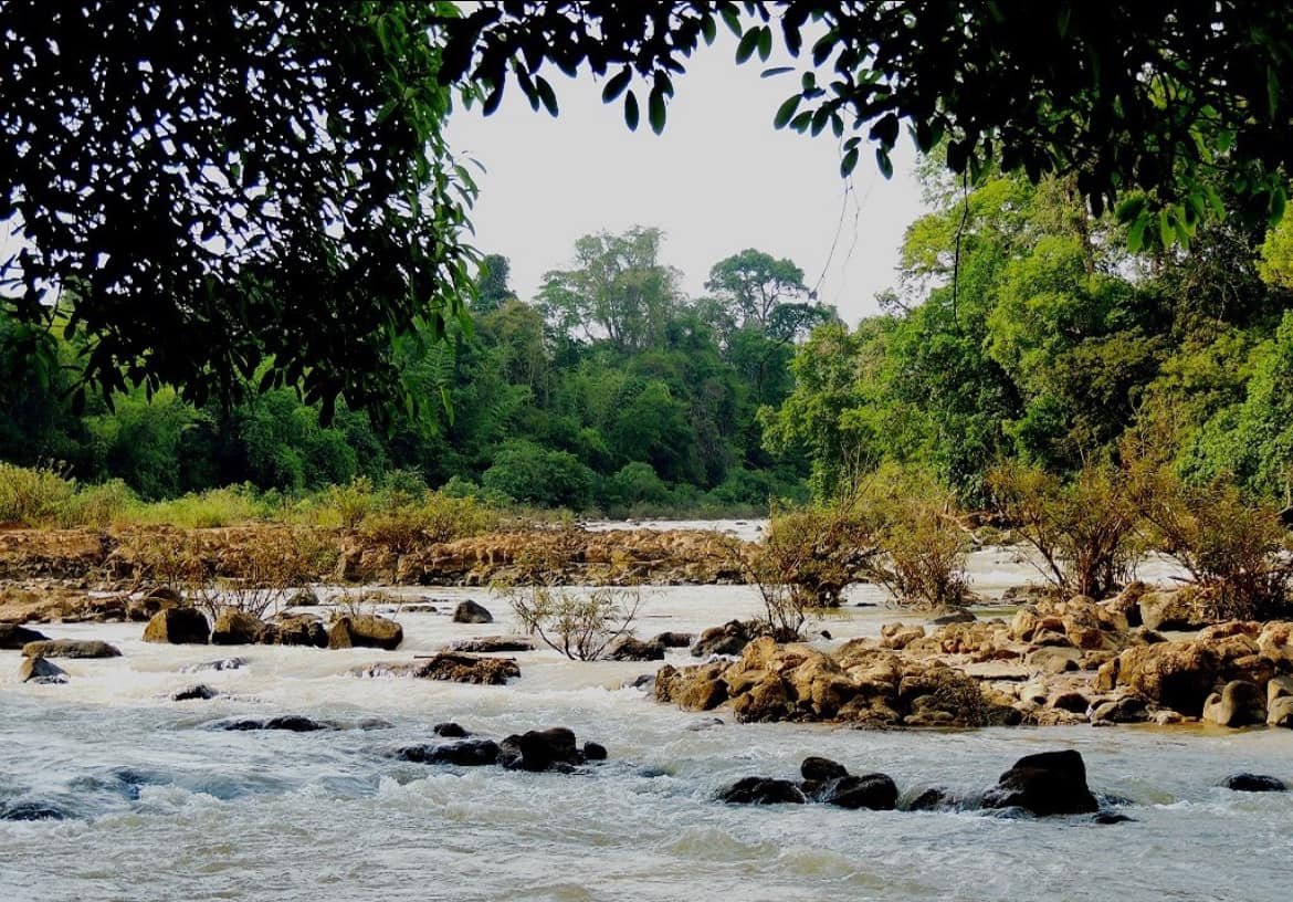 ghenh-ben-cu-vuon-quoc-gia-rung-nam-cat-tien-du-lich-de-men-travel-viet-nam-1