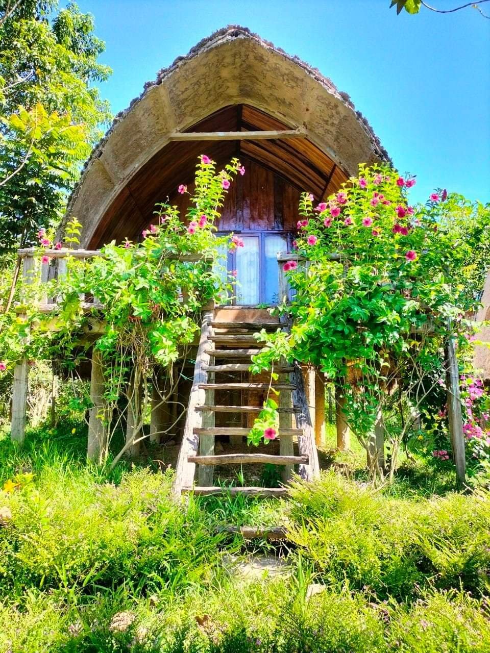 homestay-hoi-tho-rung-tai-vuon-quoc-gia-rung-nam-cat-tien-tour-du-lich-de-men-travel-viet-nam