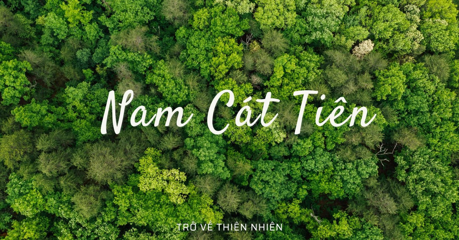rung-nam-cat-tieng-vqg-cat-tien-du-lich-de-men-travel-viet-nam