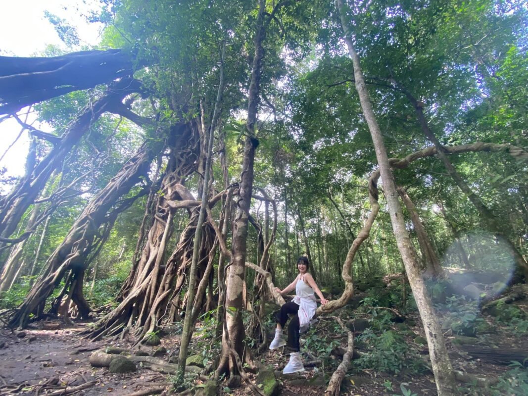 tour-du-lich-rung-nam-cat-tien-de-men-travel-viet-nam