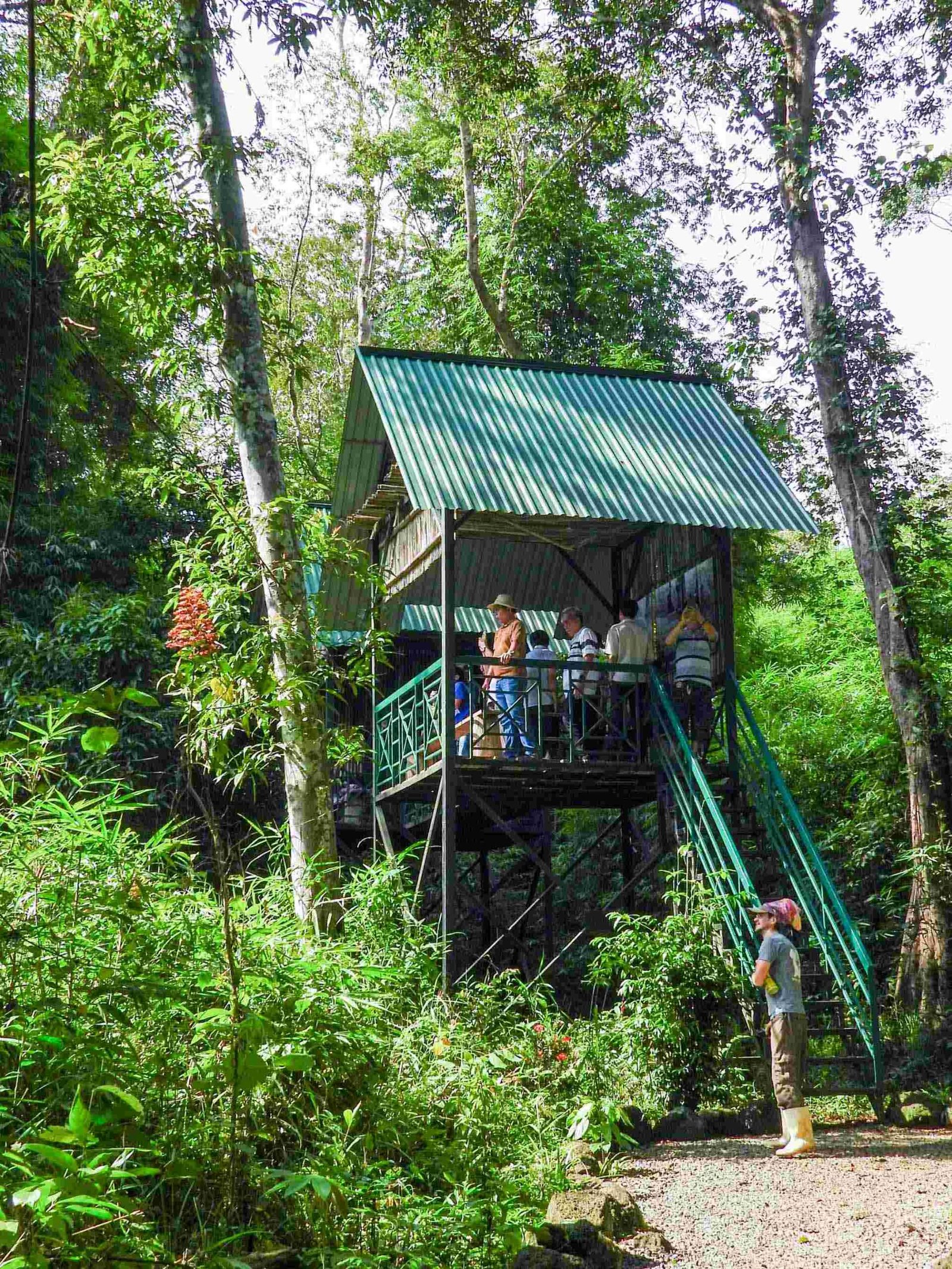 trung-tam-bao-ho-dong-vat-rung-nam-cat-tien-tour-du-lich-de-men-travel-vn