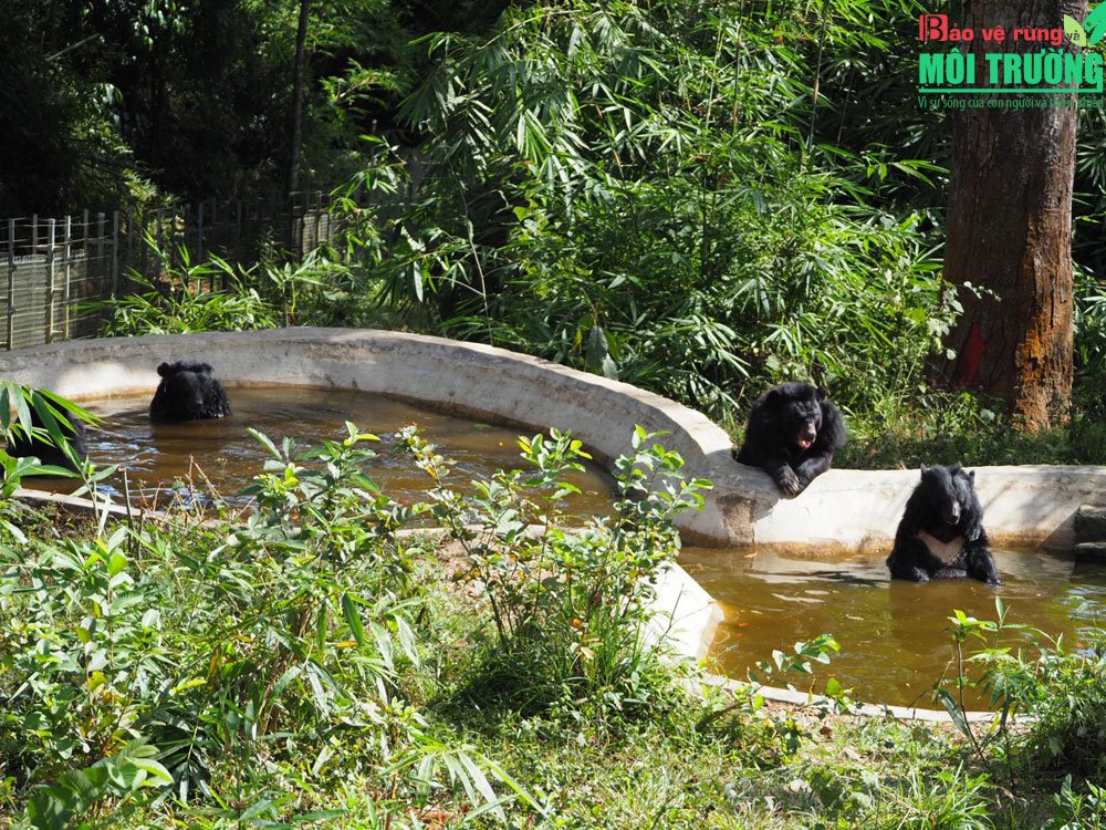 trung-tam-cu-ho-dong-vat-nam-cat-tien-du-lich-de-men-travel-viet-nam