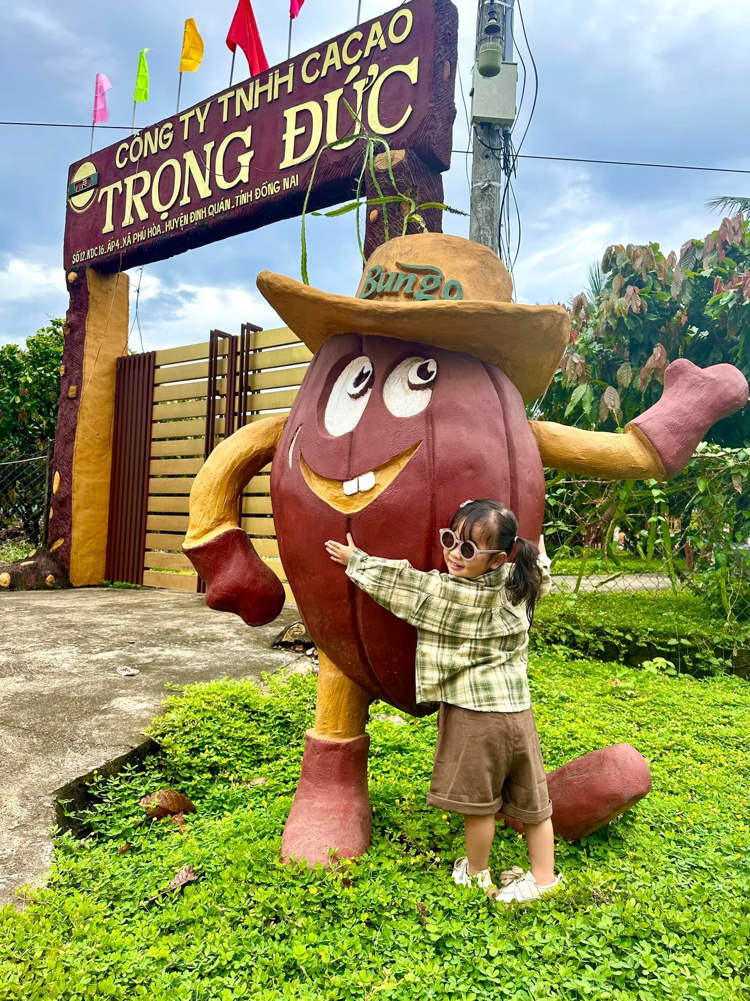 vuon-ca-cao-trong-duc-rung-nam-cat-tien-tour-du-lich-de-men-travel-viet-nam