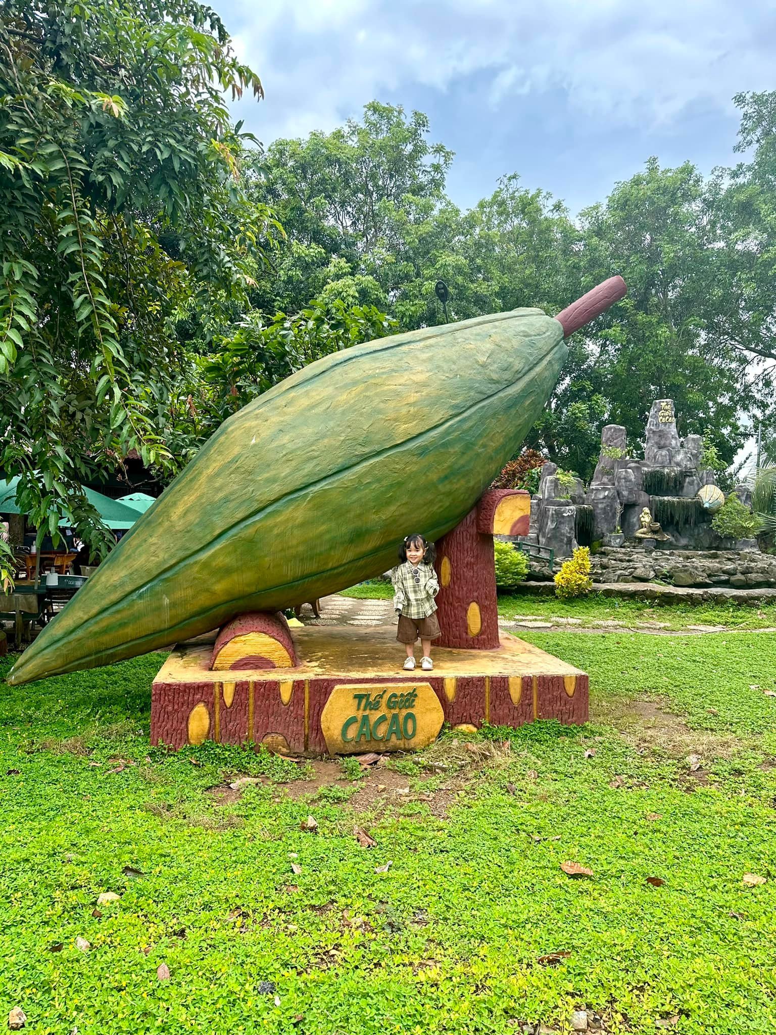 vuon-cacao-trong-duc-vqg-cat-tien-du-lich-de-men-travel-viet-nam