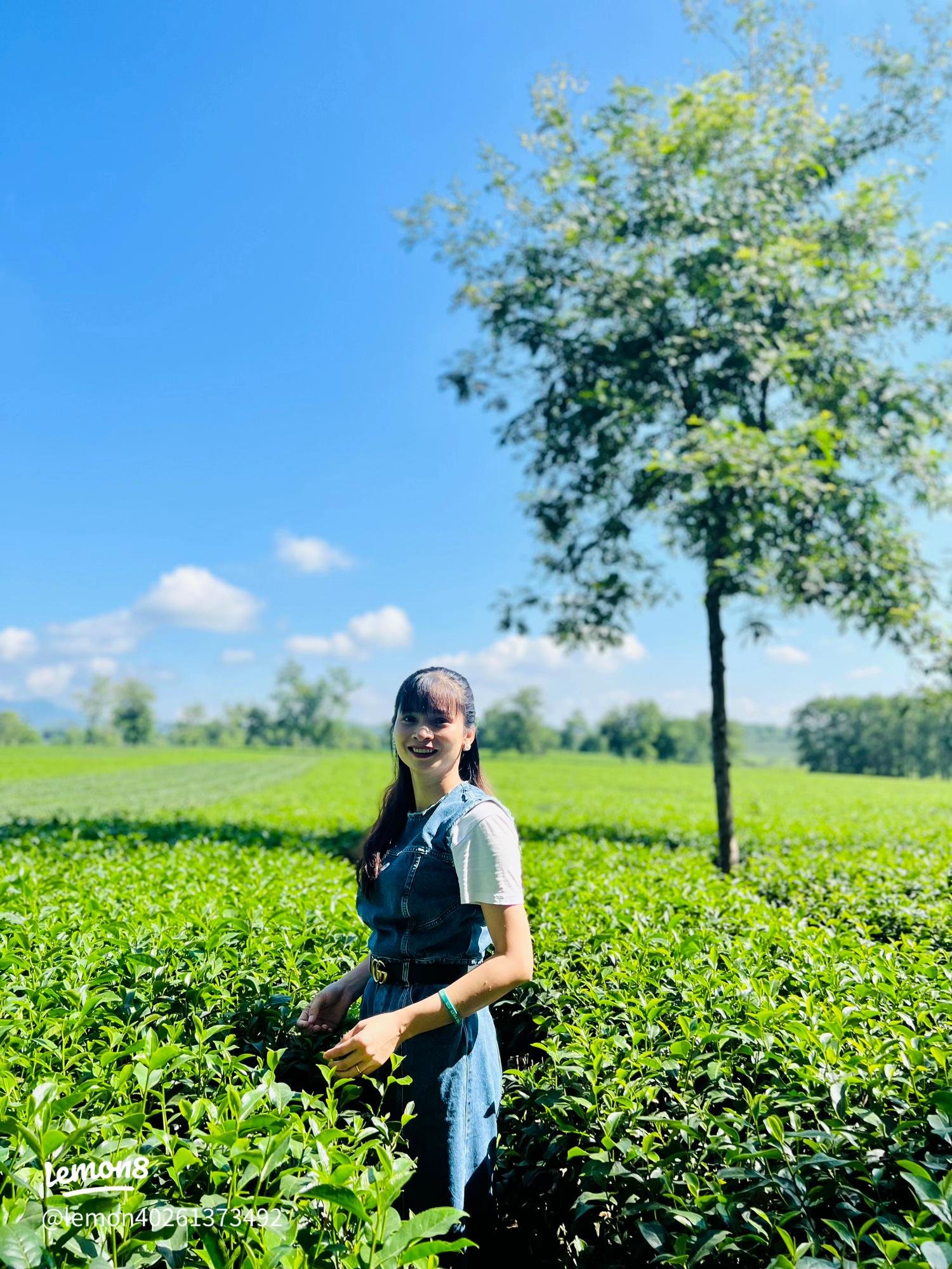 Tour du lịch Tây Bắc, Du lịch Tây Bắc, du lịch Hà Nội, du lịch Tà Xùa, du lịch Trạm Tấu, du lịch Mù Cang Chải, du lịch Sapa, Sống lưng khủng long,  Săn mây Tà Xùa