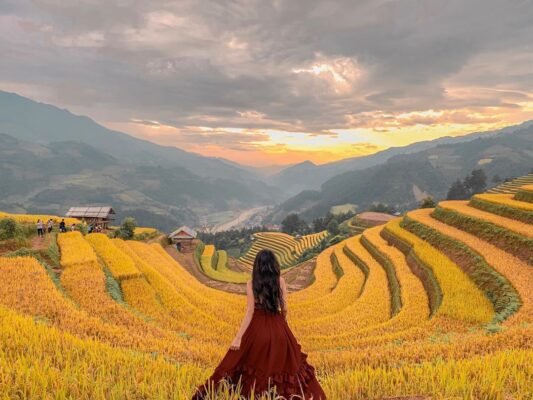 mua-lua-chin-tay-bac-du-lich-de-men-travel-viet-nam-tay-bac-mua-vang
