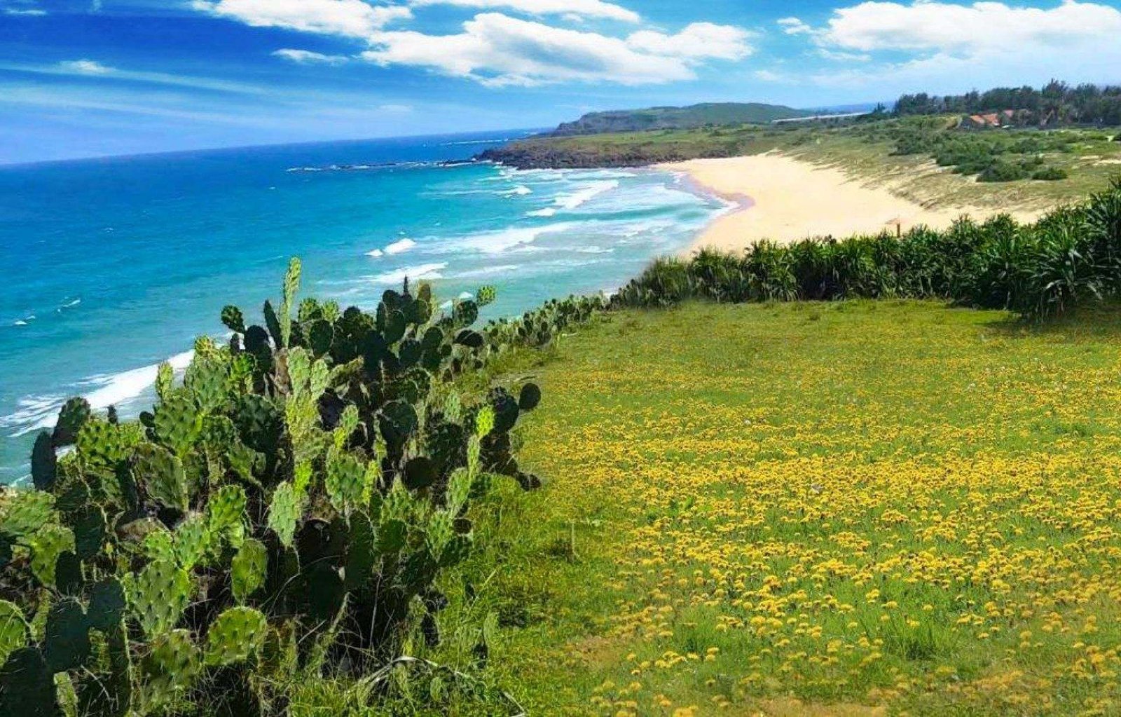 phu-yen-du-lich-de-men-travel-viet-nam