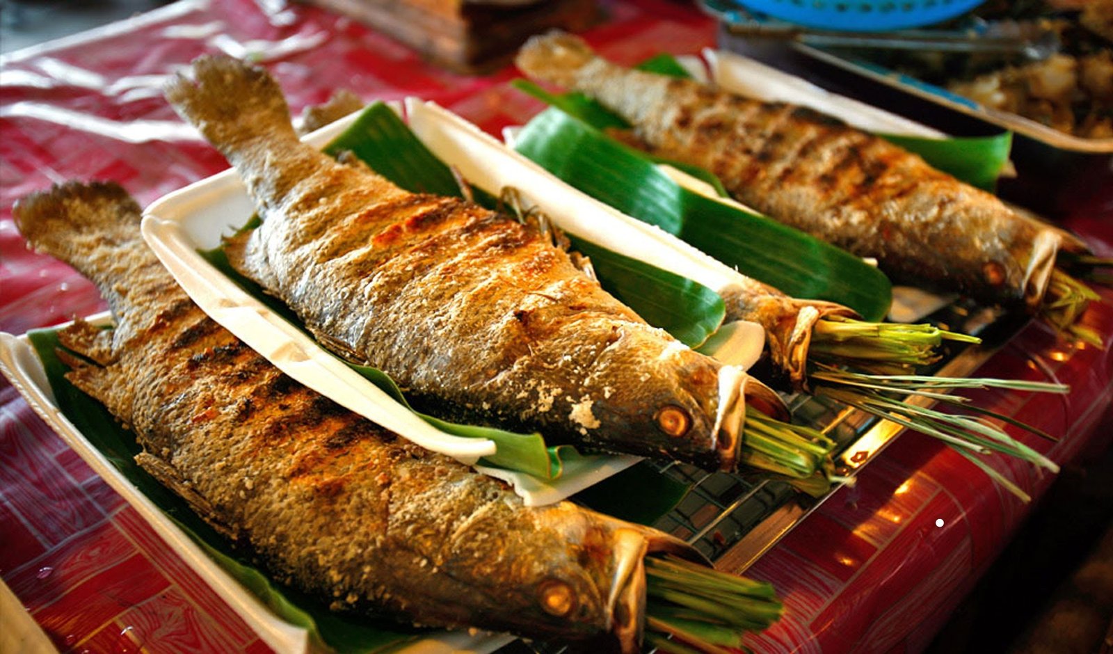 suoi-muong-hoa-sapa-nang-tho-cua-nui-rung-tay-bac-du-lich-de-men-travel-viet-nam