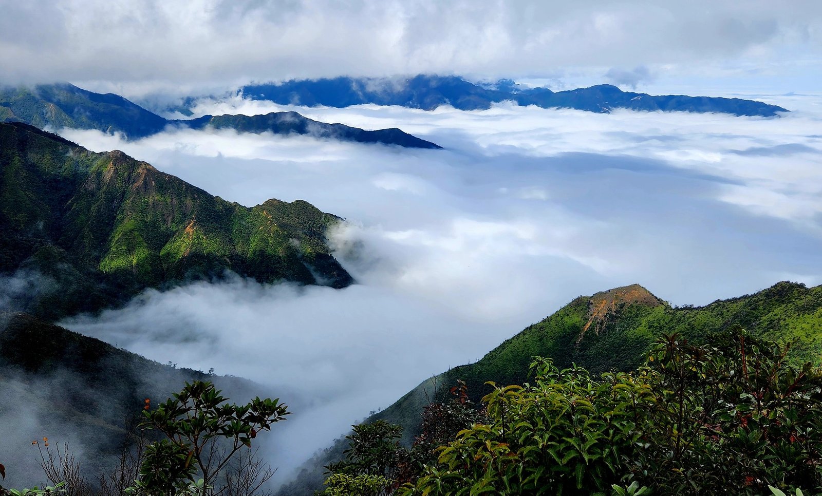ta-xua-du-lich-de-men-travel-viet-nam-tay-bac-mua-vang