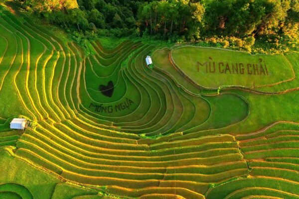 mu-cang-chai-mua-lua-chin-2n1d-du-lich-de-men-travel-viet-nam-tay-bac
