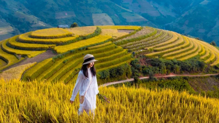 mua-vang-tay-bac-du-lich-de-men-travel-viet-nam-2
