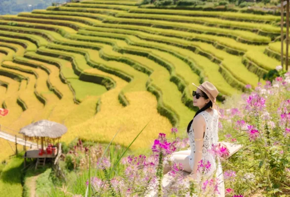 2025-mua-vang-tay-bac-du-lich-de-men-travel-viet-nam-mu-cang-chai