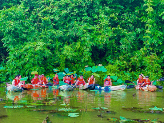 cheo-sup-VQG-Rung-Nam-cat-tien-Du-lich-de-men-travel-viet-nam-trip