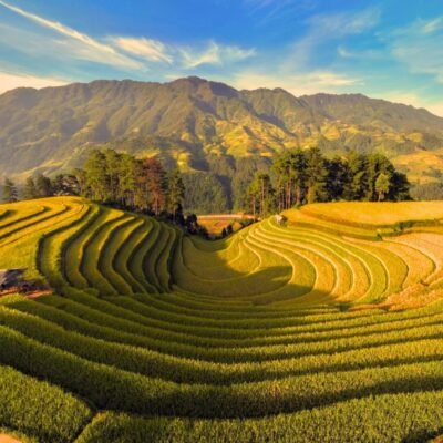 du-lich-mu-cang-chai-du-lich-de-men-travel-viet-nam-08102025