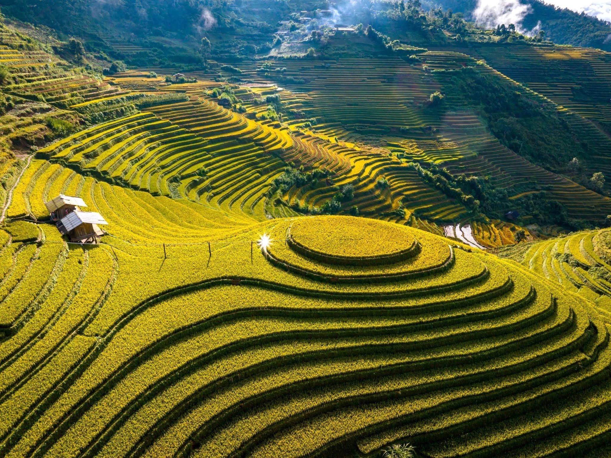 mua-vang-tay-bac-du-lich-de-men-travel-viet-nam-2564