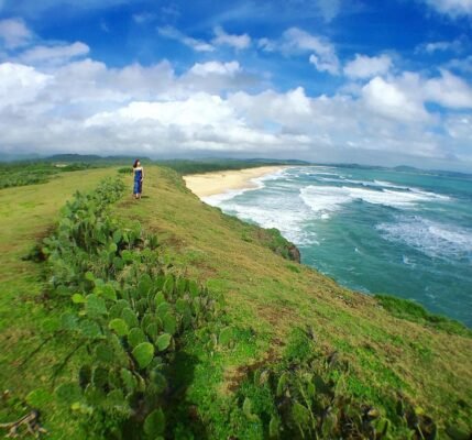 tour-hoa-vang-tren-co-xanh-phu-yen-du-lich-de-men-travel-viet-nam-trips