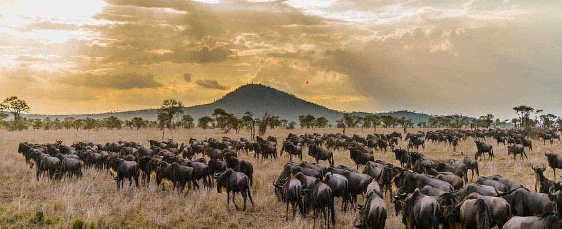 Công viên quốc gia Serengeti